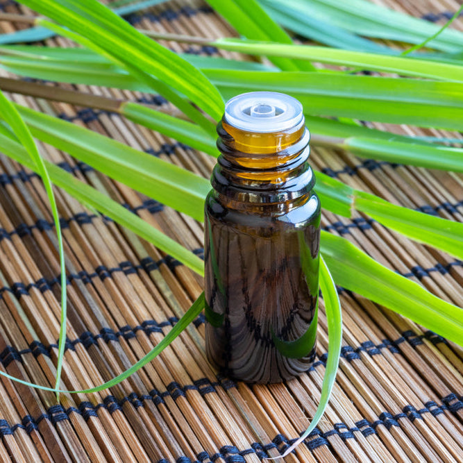 A bottle of essential oil with fresh lemon grass on a table