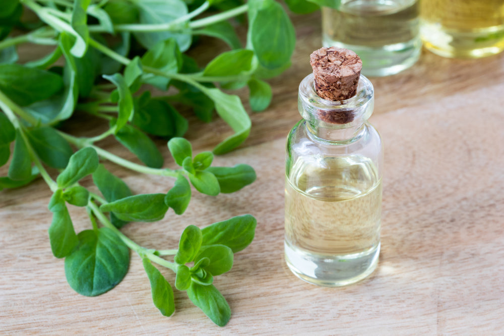 A bottle of essential oil with fresh marjoram twigs on a table