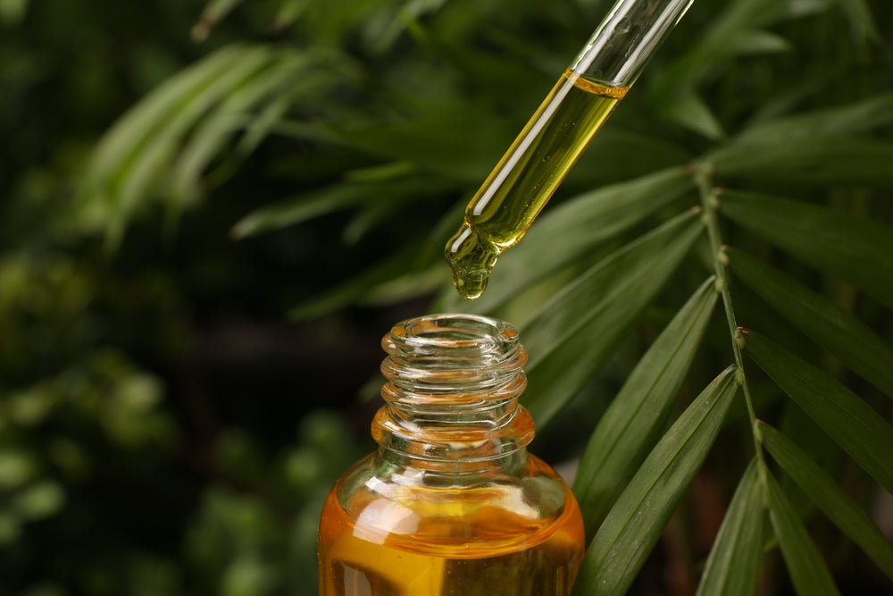 Dripping essential oil from pipette into bottle outdoors with plants the oil was extracted from