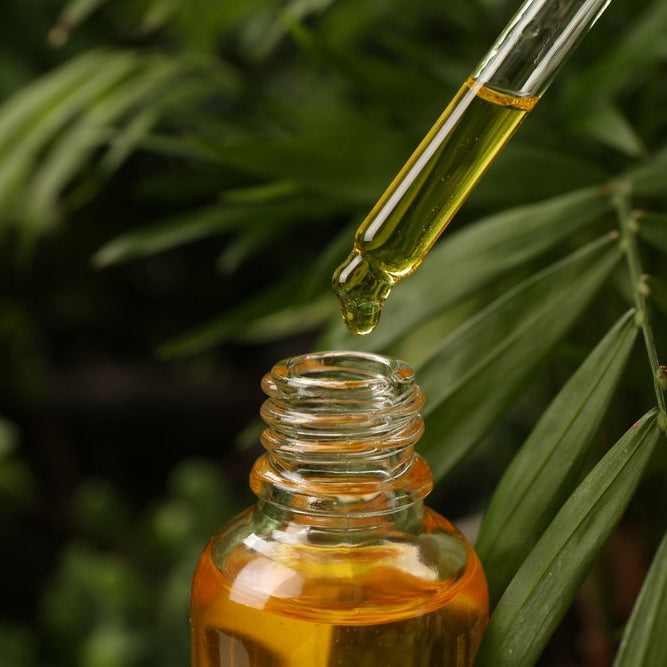 Dripping essential oil from pipette into bottle outdoors with plants the oil was extracted from