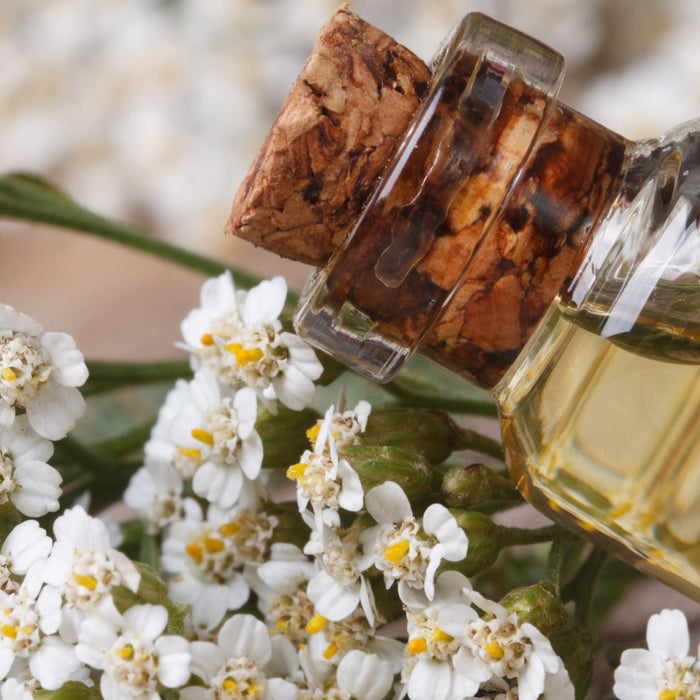 essentail oil bottle laying in yarrow