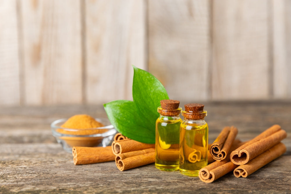 cassia essential oil surrounded by cinnamon sticks