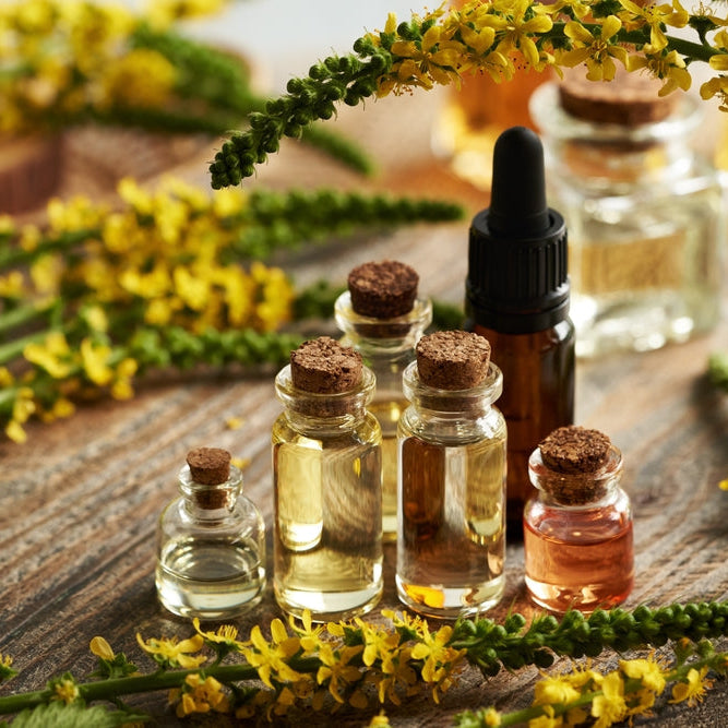 gcms tested essential oil bottles on a wooden table surrounded by herbs and flowers