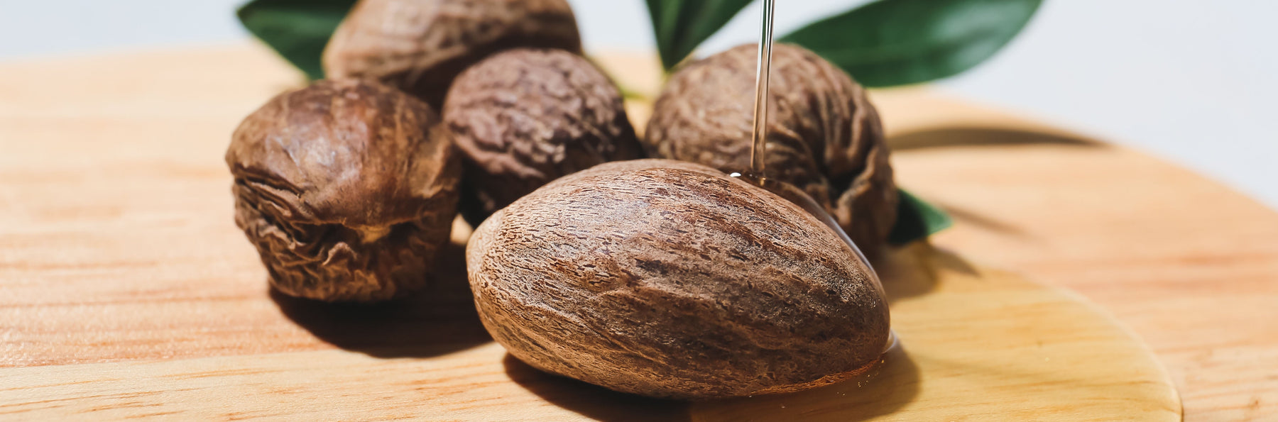 shea nuts with oil and leaves