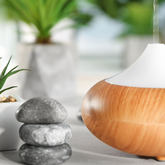 diffuser next to rocks and plants