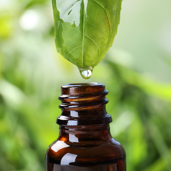 Organic Essential Oils