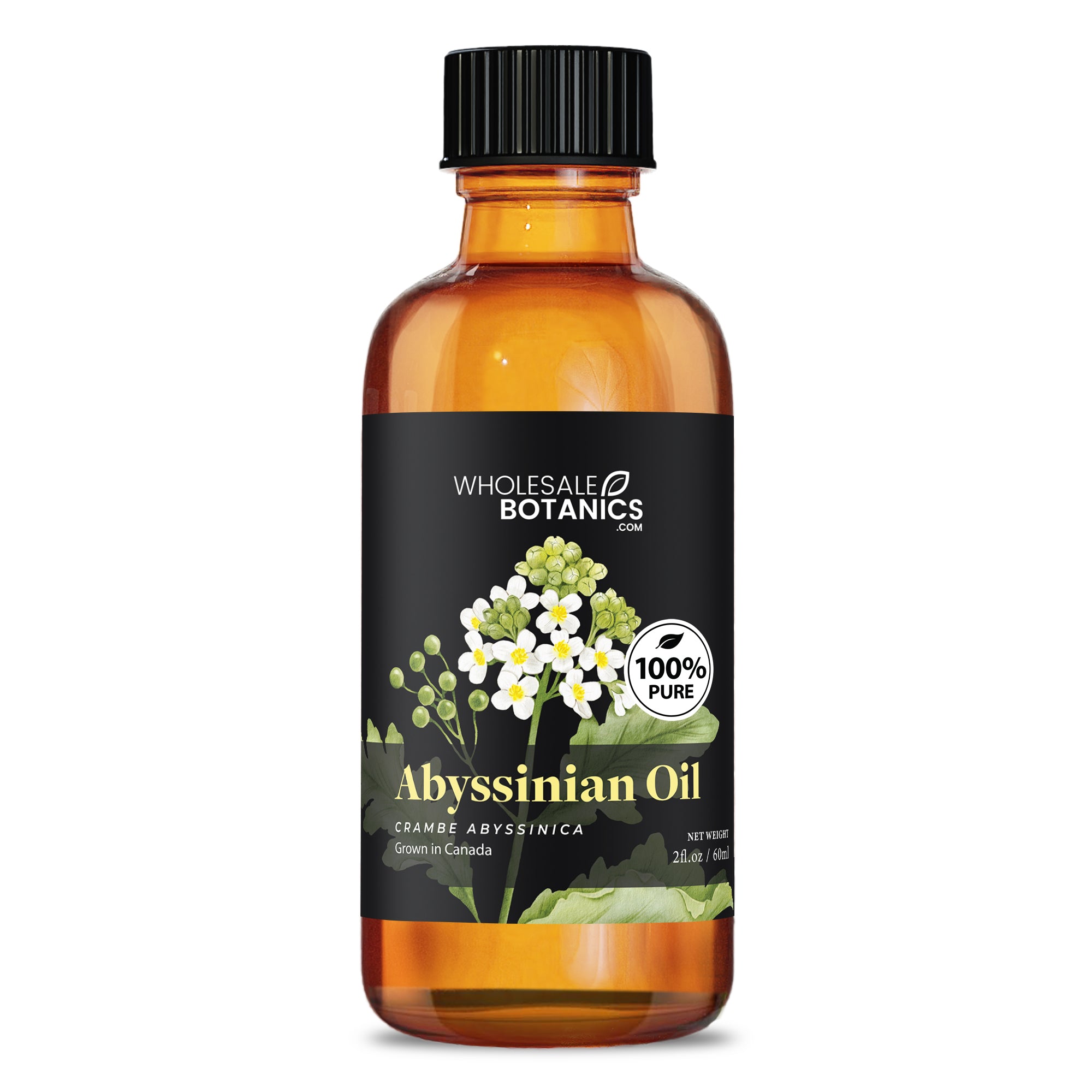 Abyssinian Oil