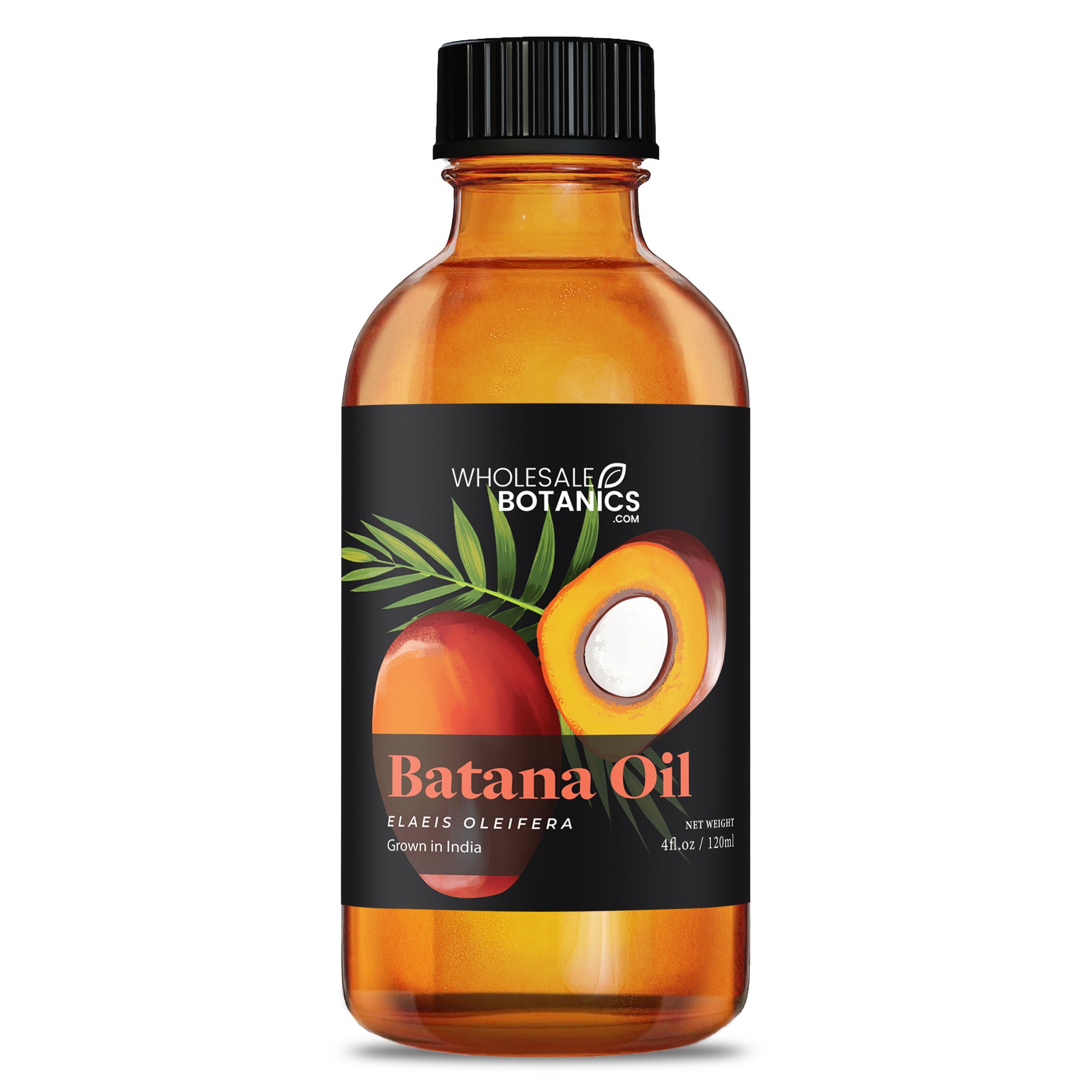 Batana Oil (India) - 4 oz