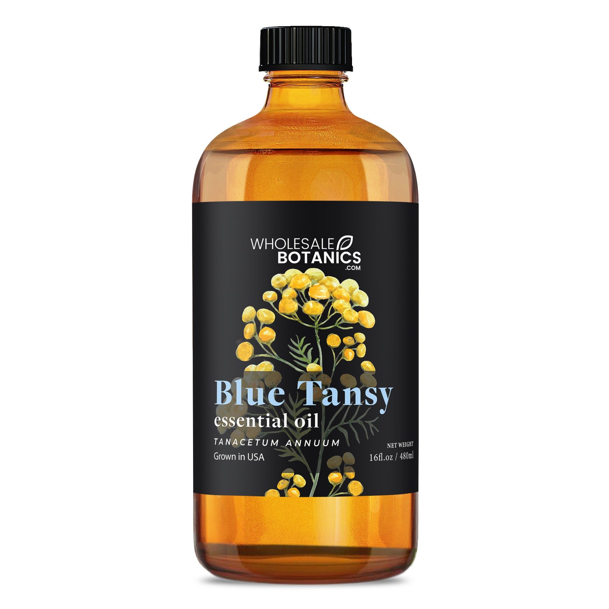 Blue Tansy Essential Oil - Botanical