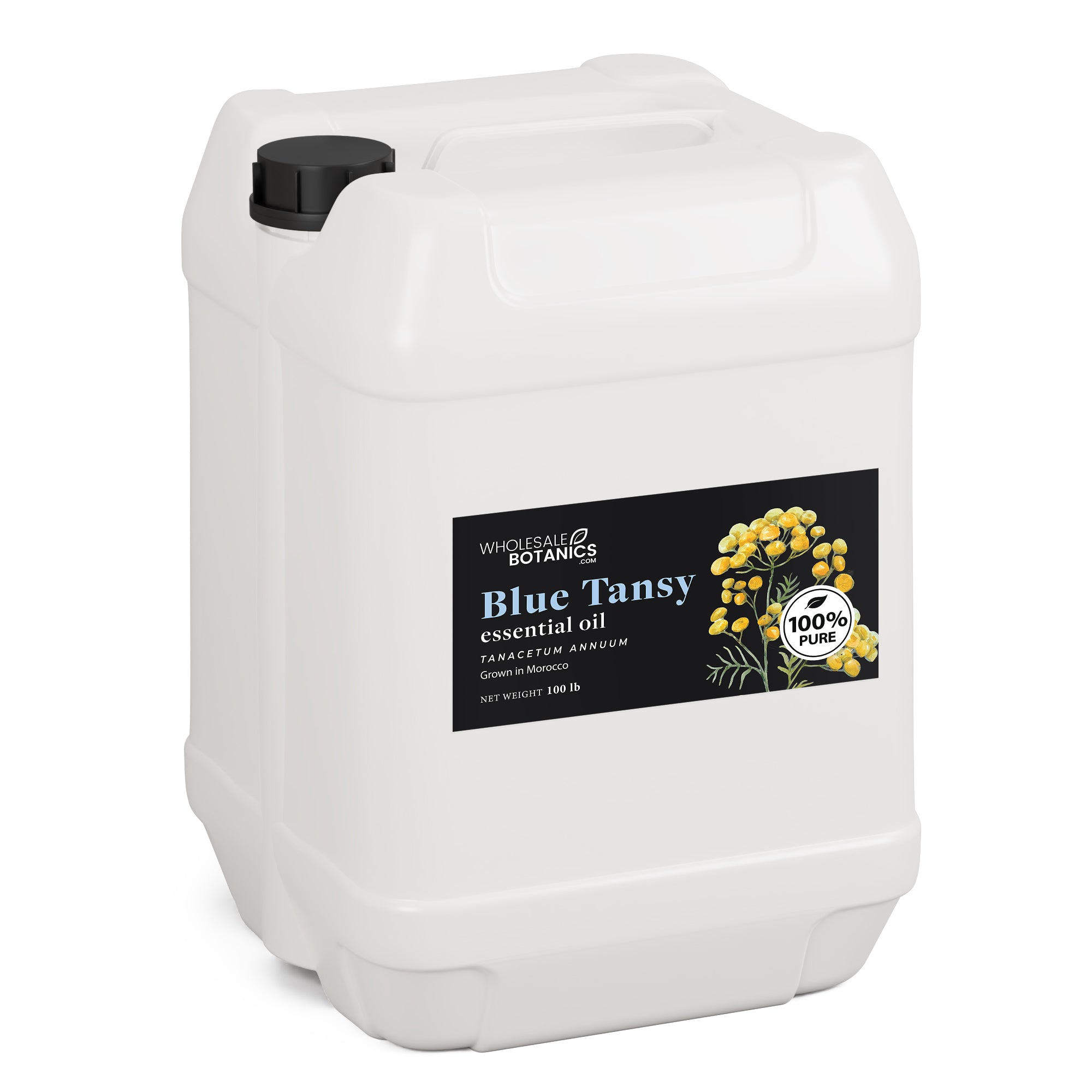 Blue Tansy Essential Oil - Purity