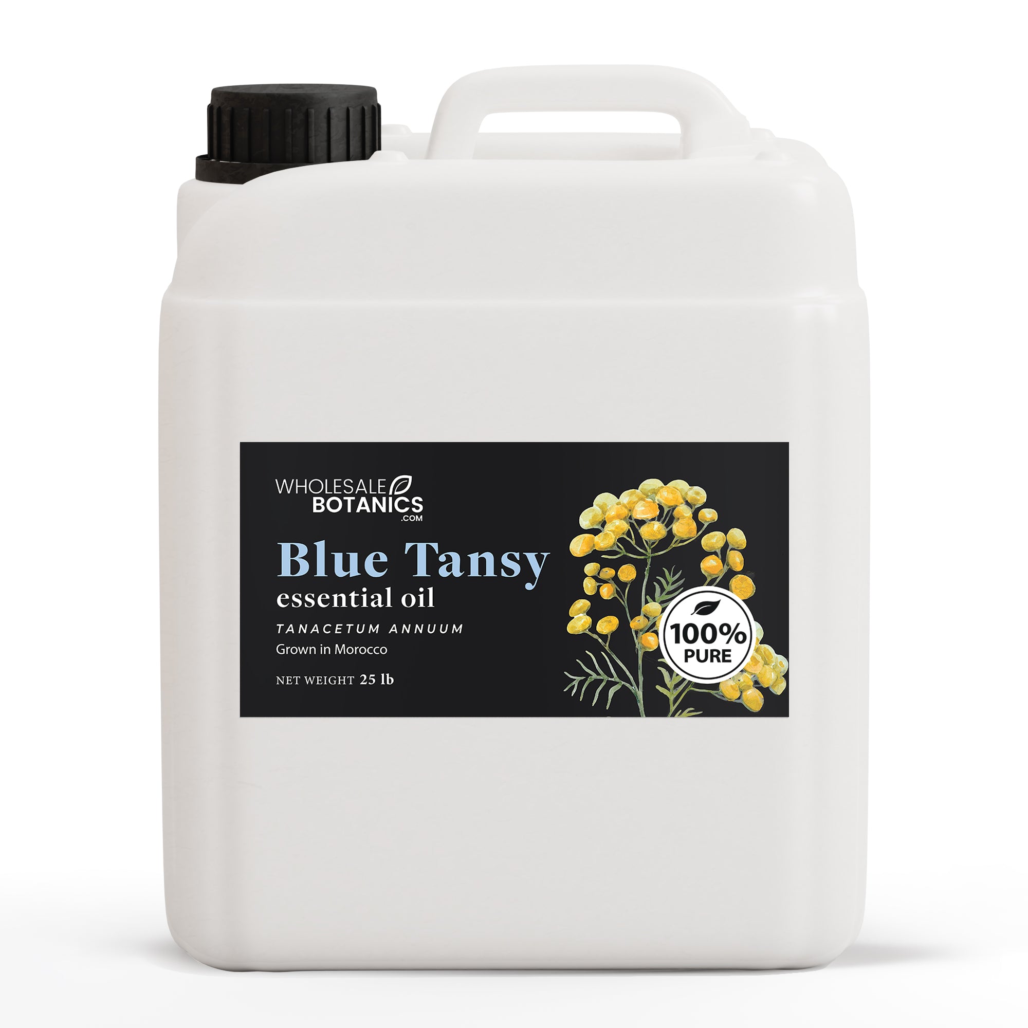 Blue Tansy Essential Oil - Purity