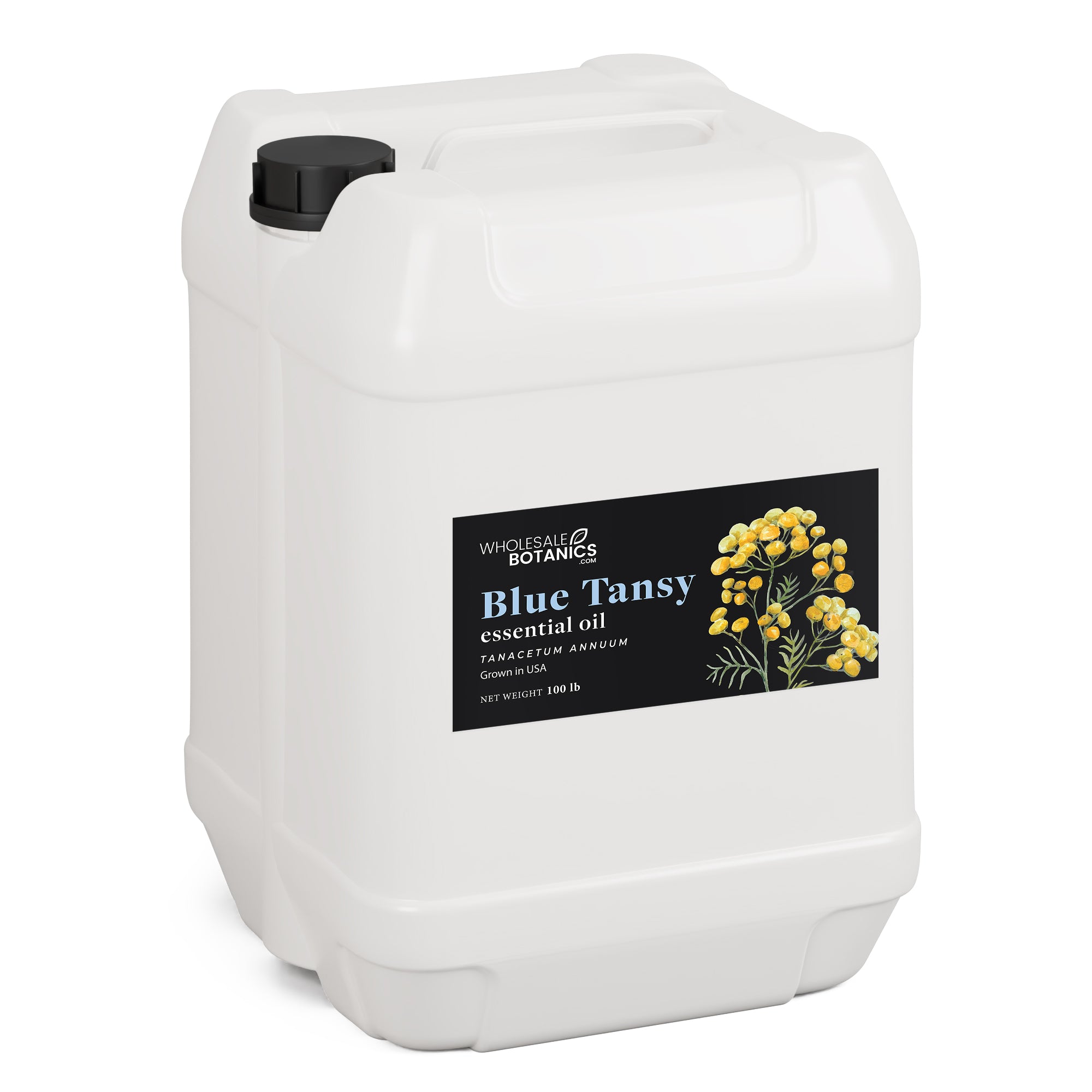 Blue Tansy Essential Oil - Botanical