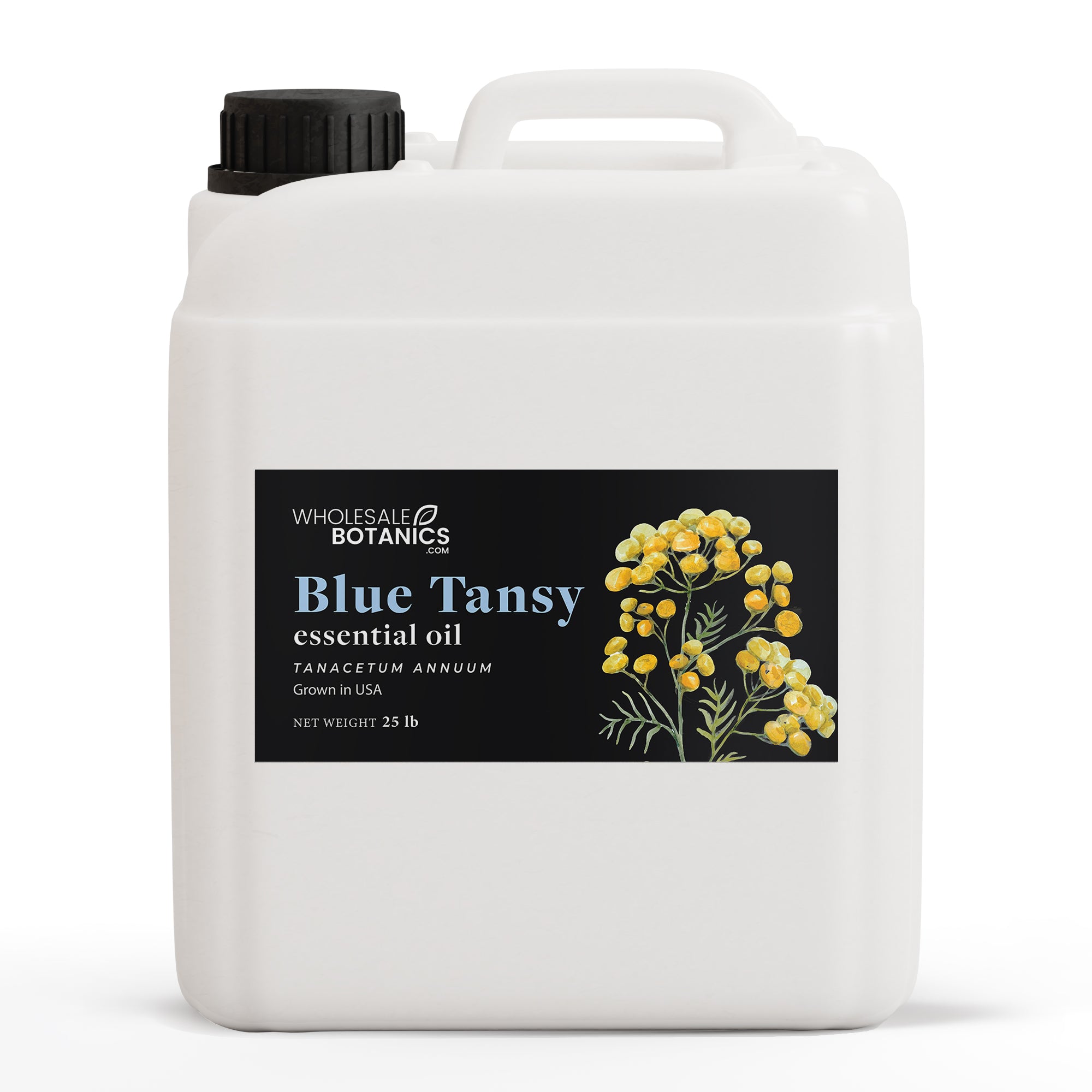 Blue Tansy Essential Oil - Botanical