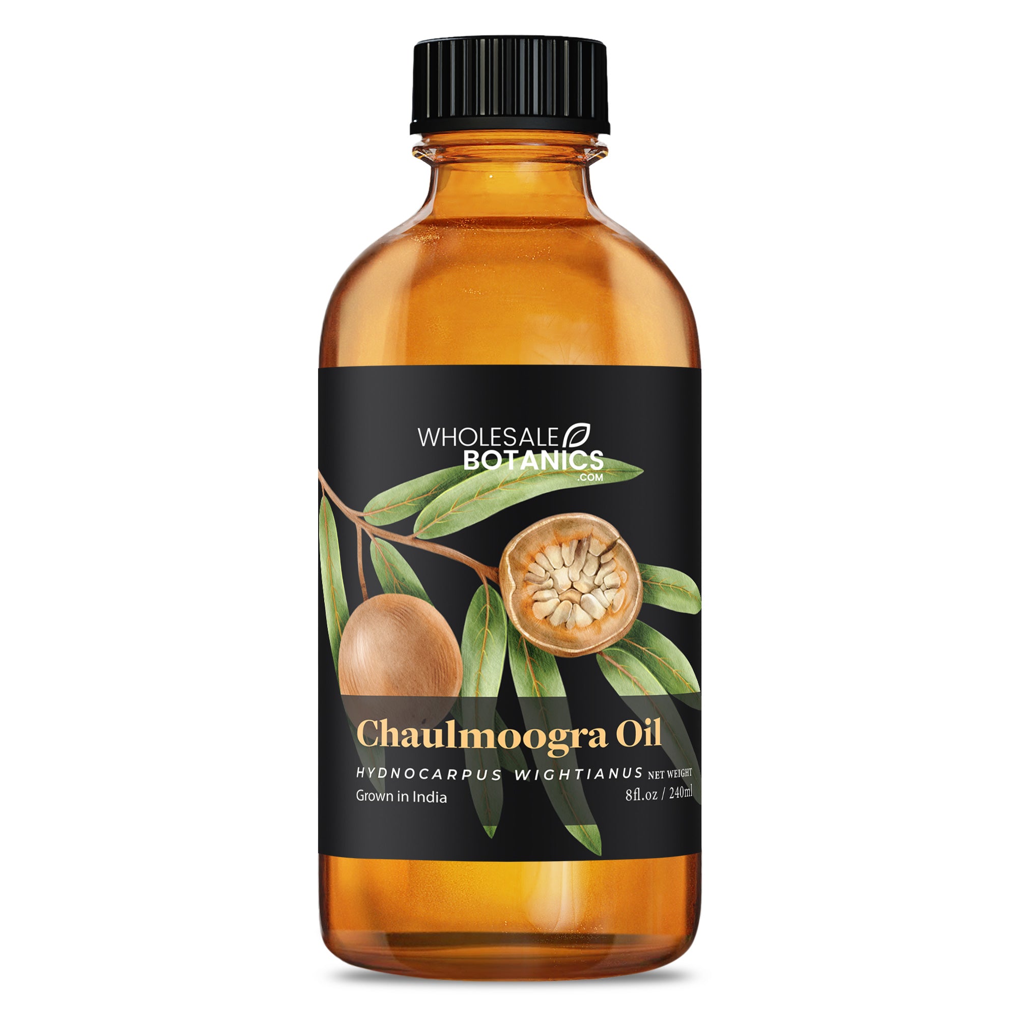 Chaulmoogra Oil