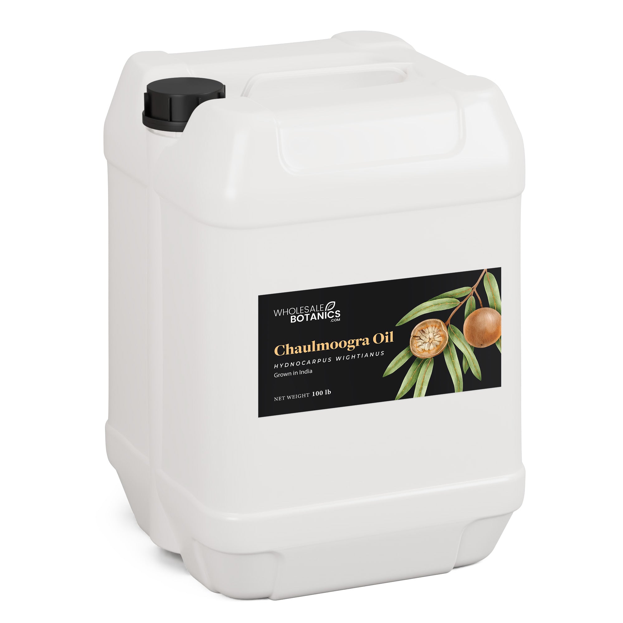 Chaulmoogra Oil