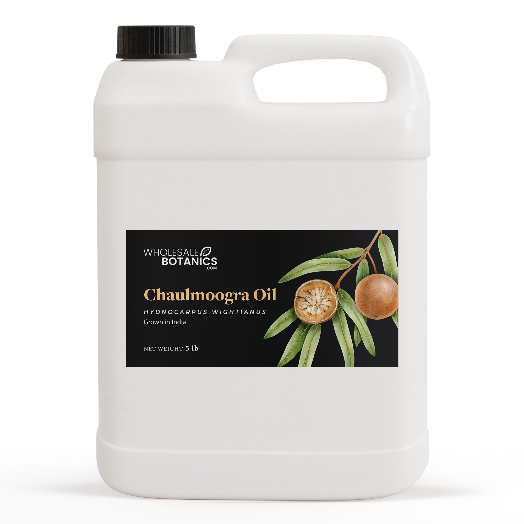 Chaulmoogra Oil