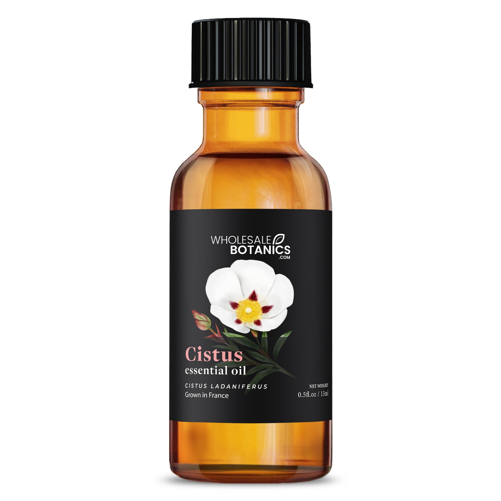 Cistus Essential Oil