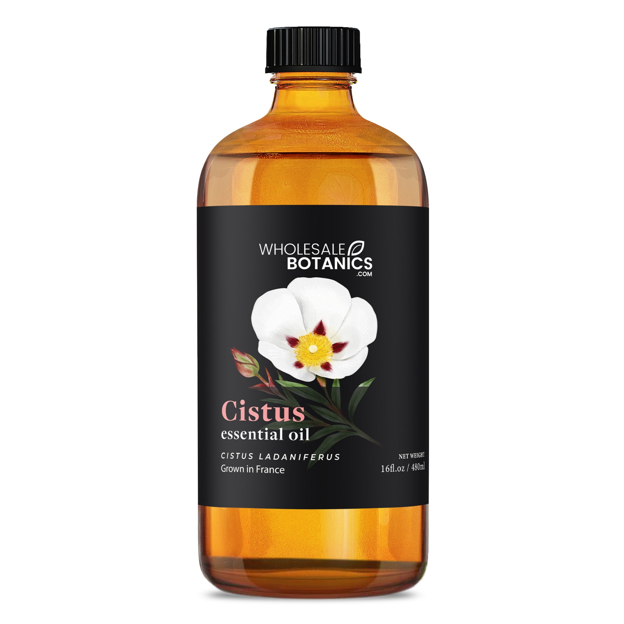 Cistus Essential Oil