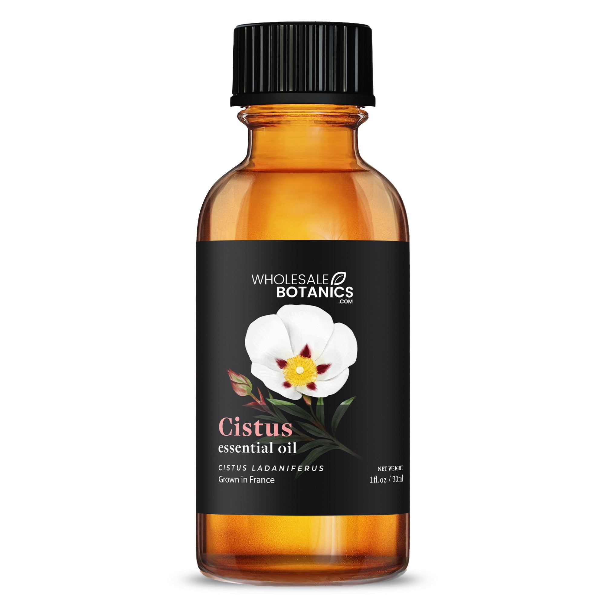 Cistus Essential Oil