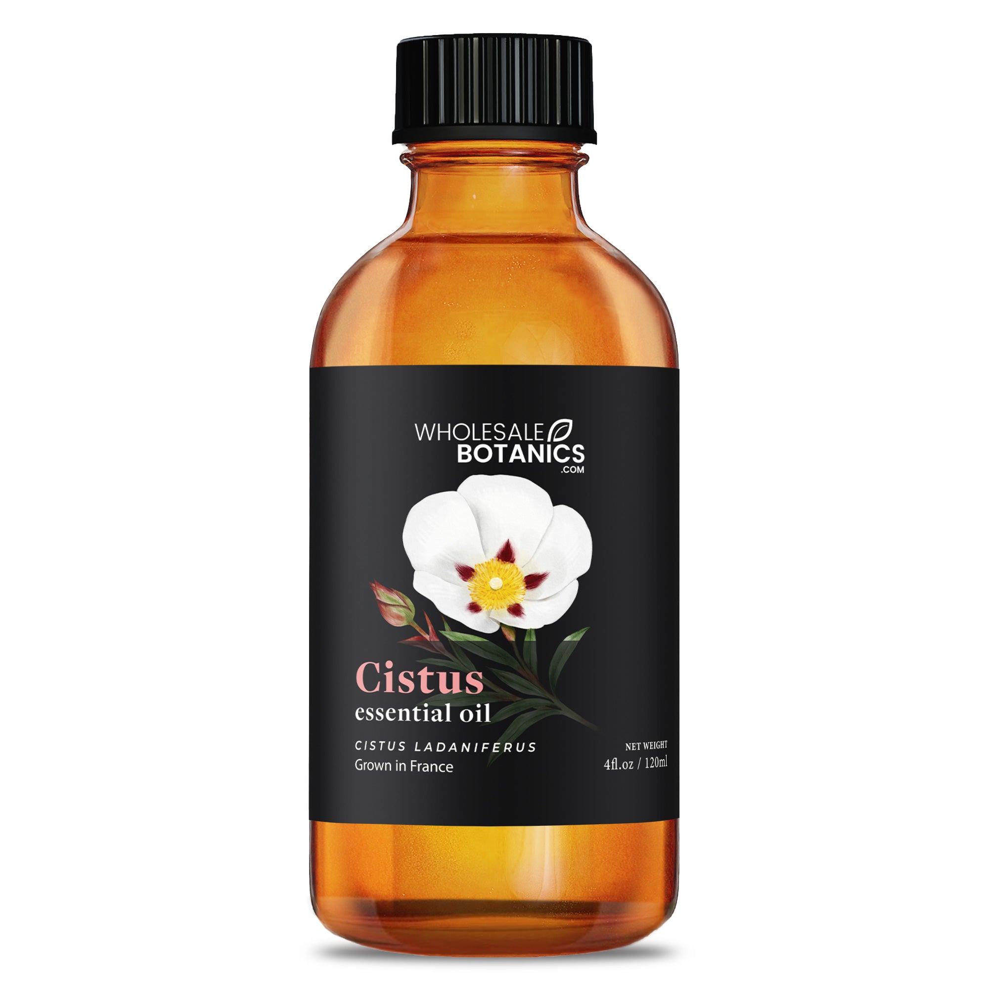 Cistus Essential Oil