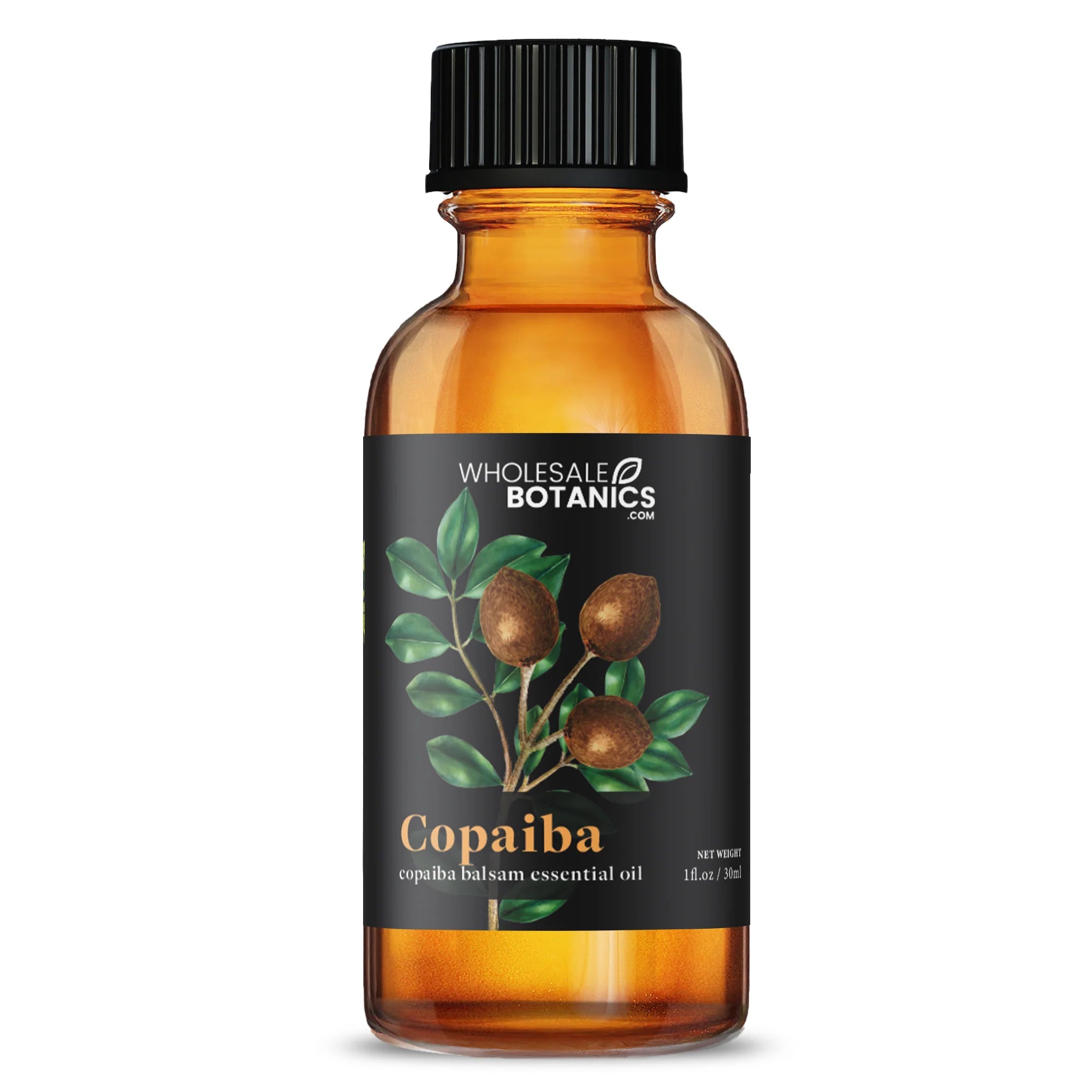 Woodsy Wonders Essential Oil Bundle