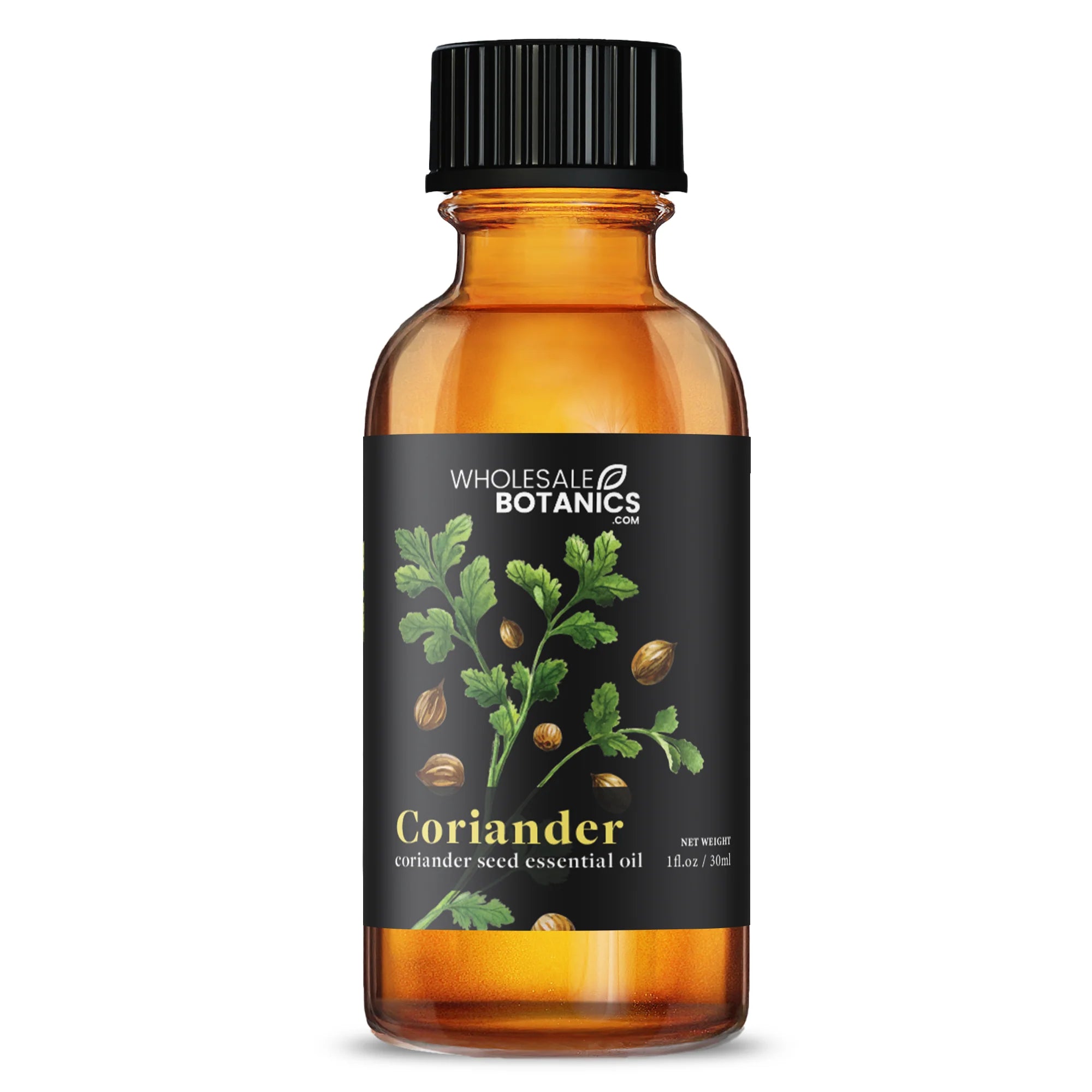 Woodsy Wonders Essential Oil Bundle