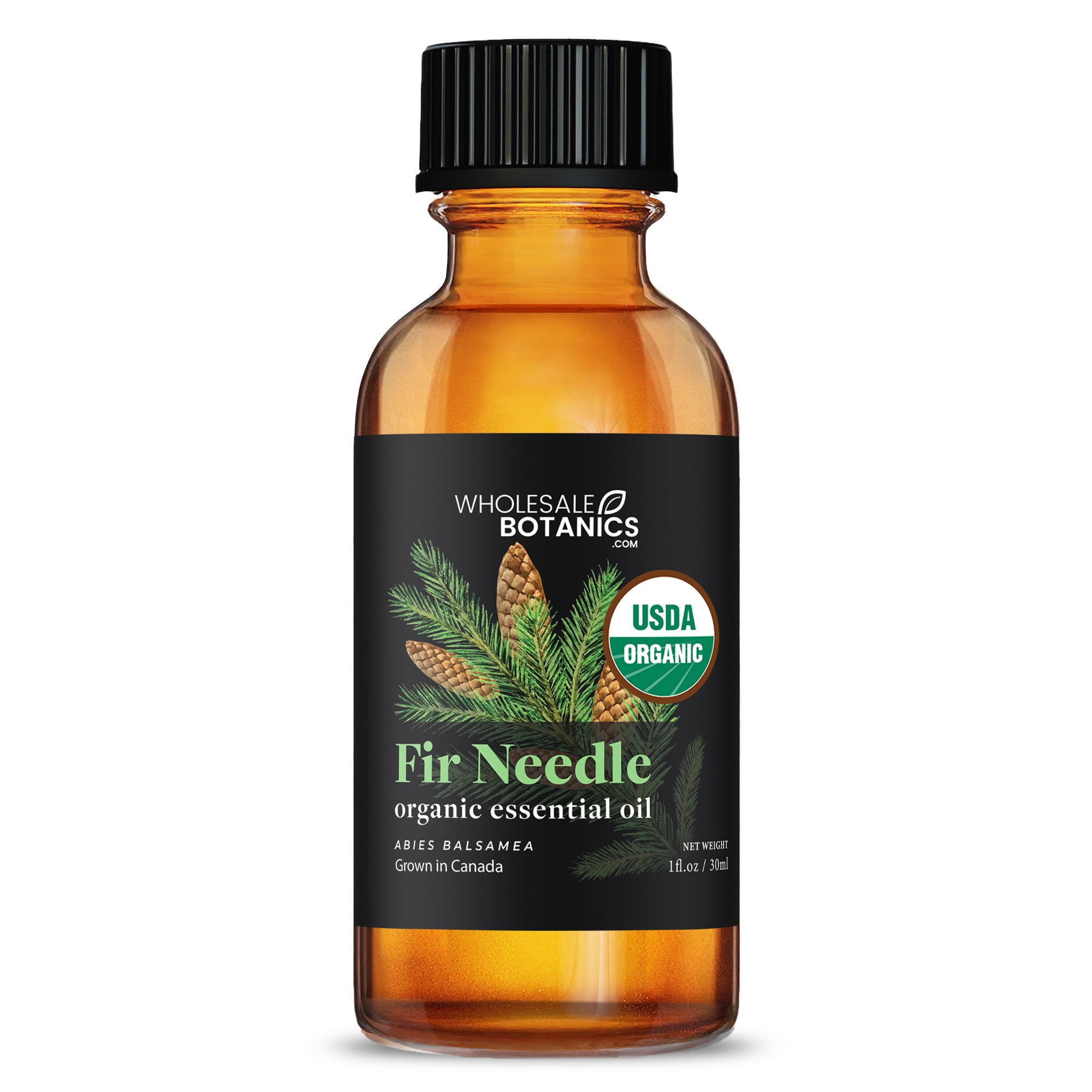 Organic Fir Needle Essential Oil