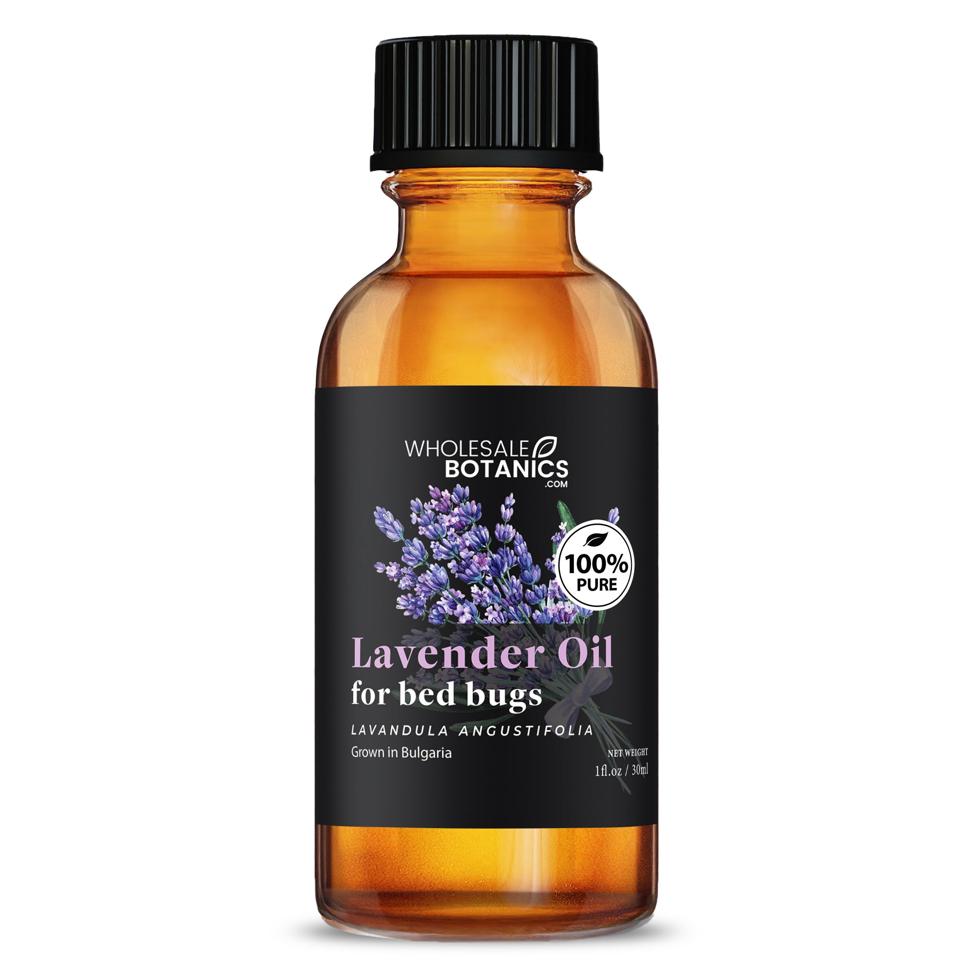 Lavender Oil for Bed Bugs