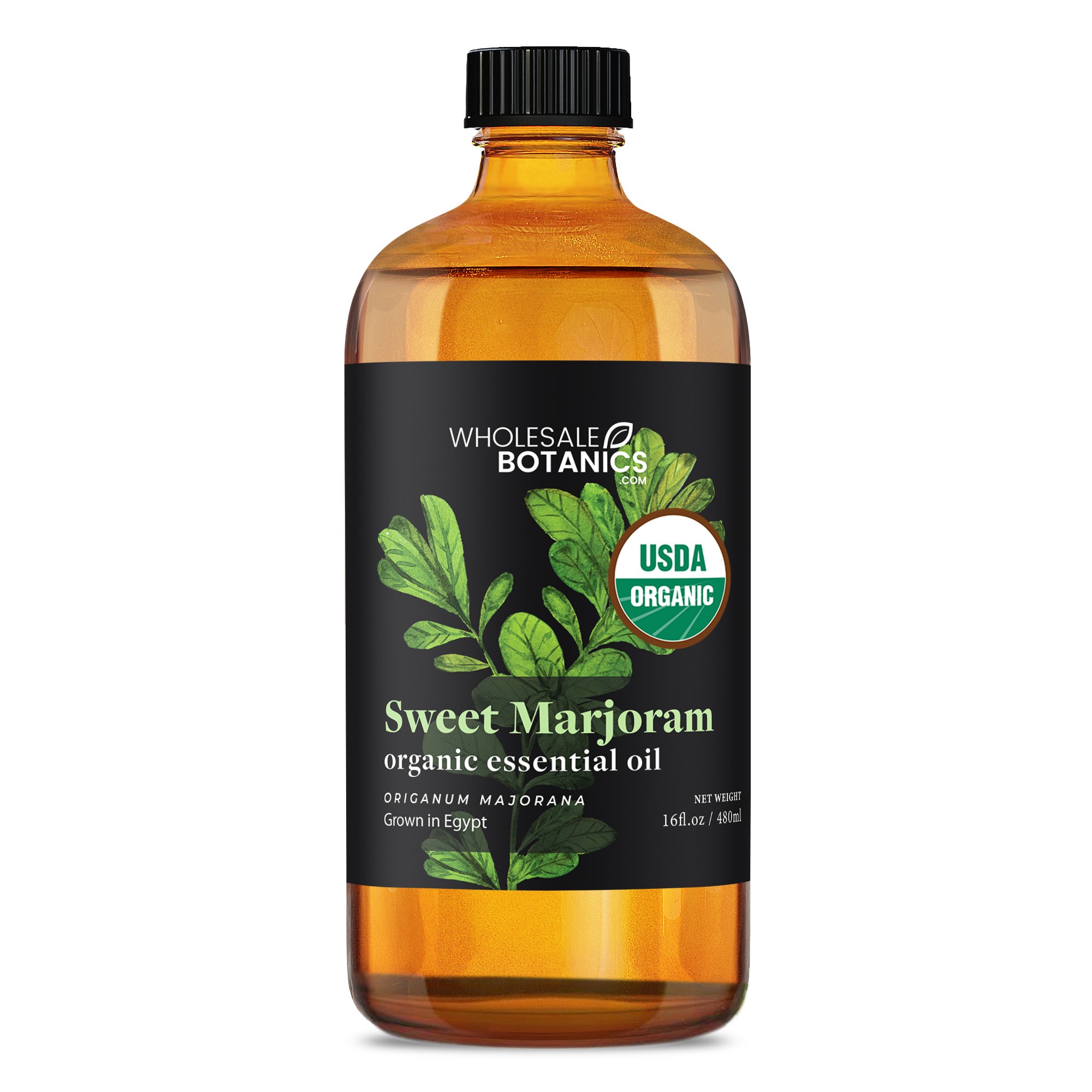 Organic Marjoram (Sweet) Essential Oil