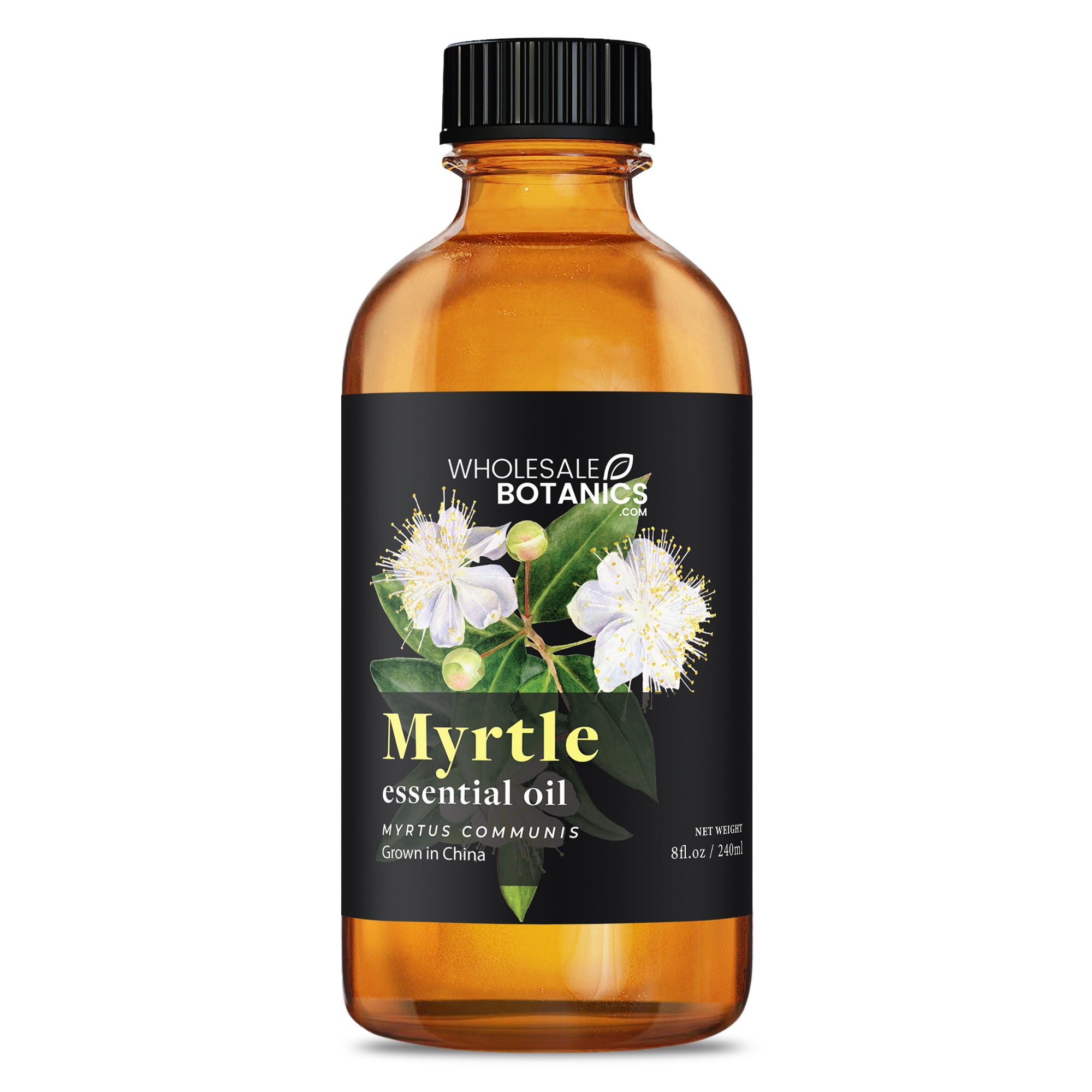 Myrtle Oil