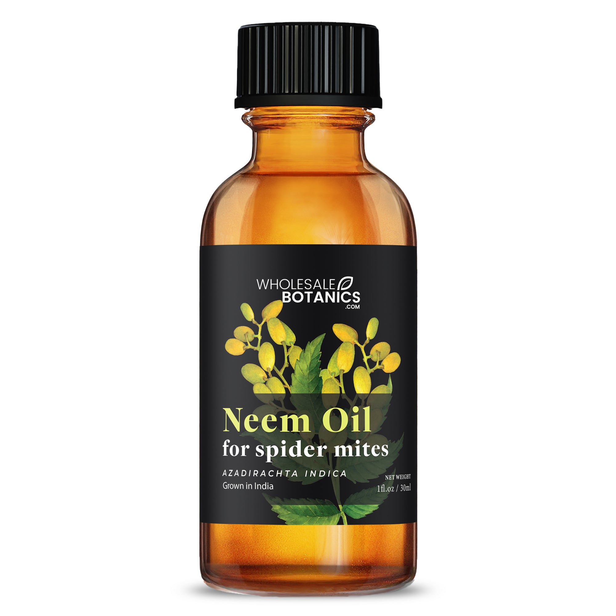 Neem Oil for Spider Mites