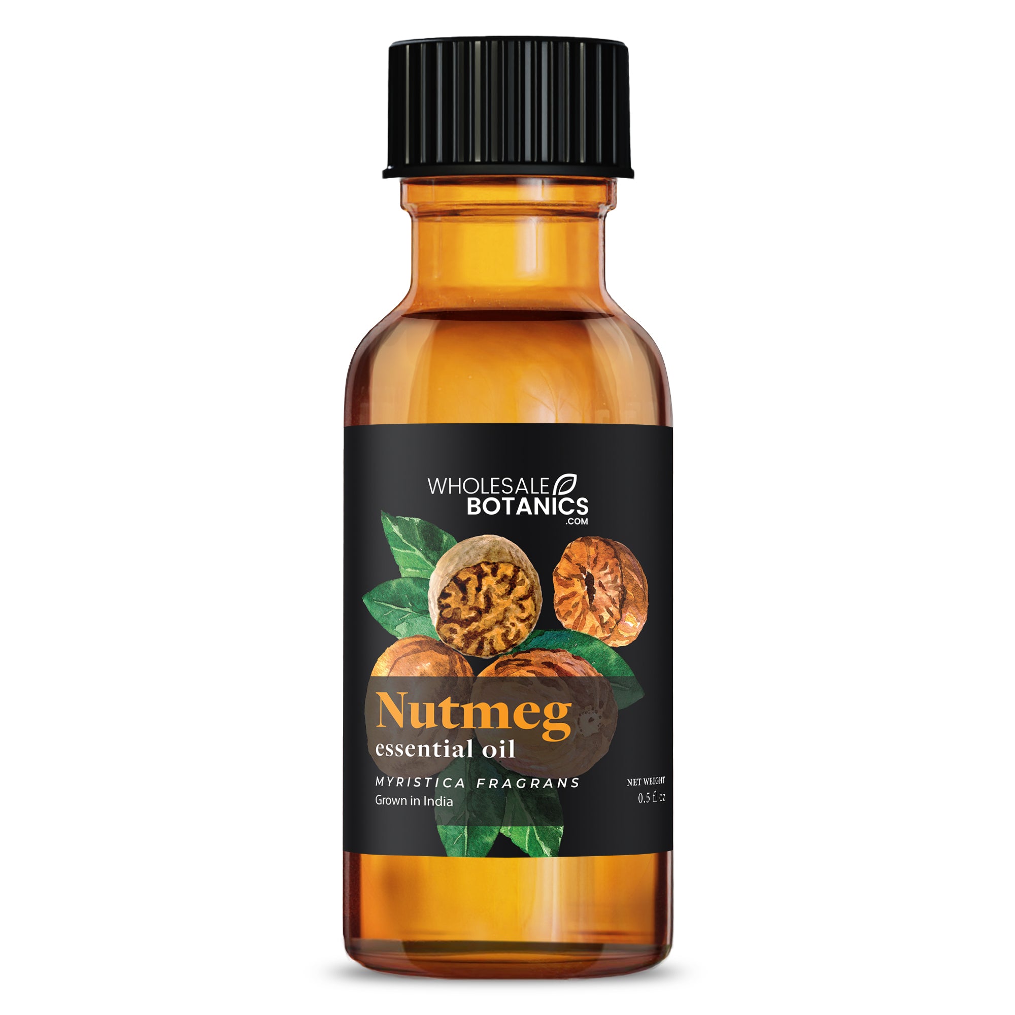 Nutmeg Essential Oil - Botanical