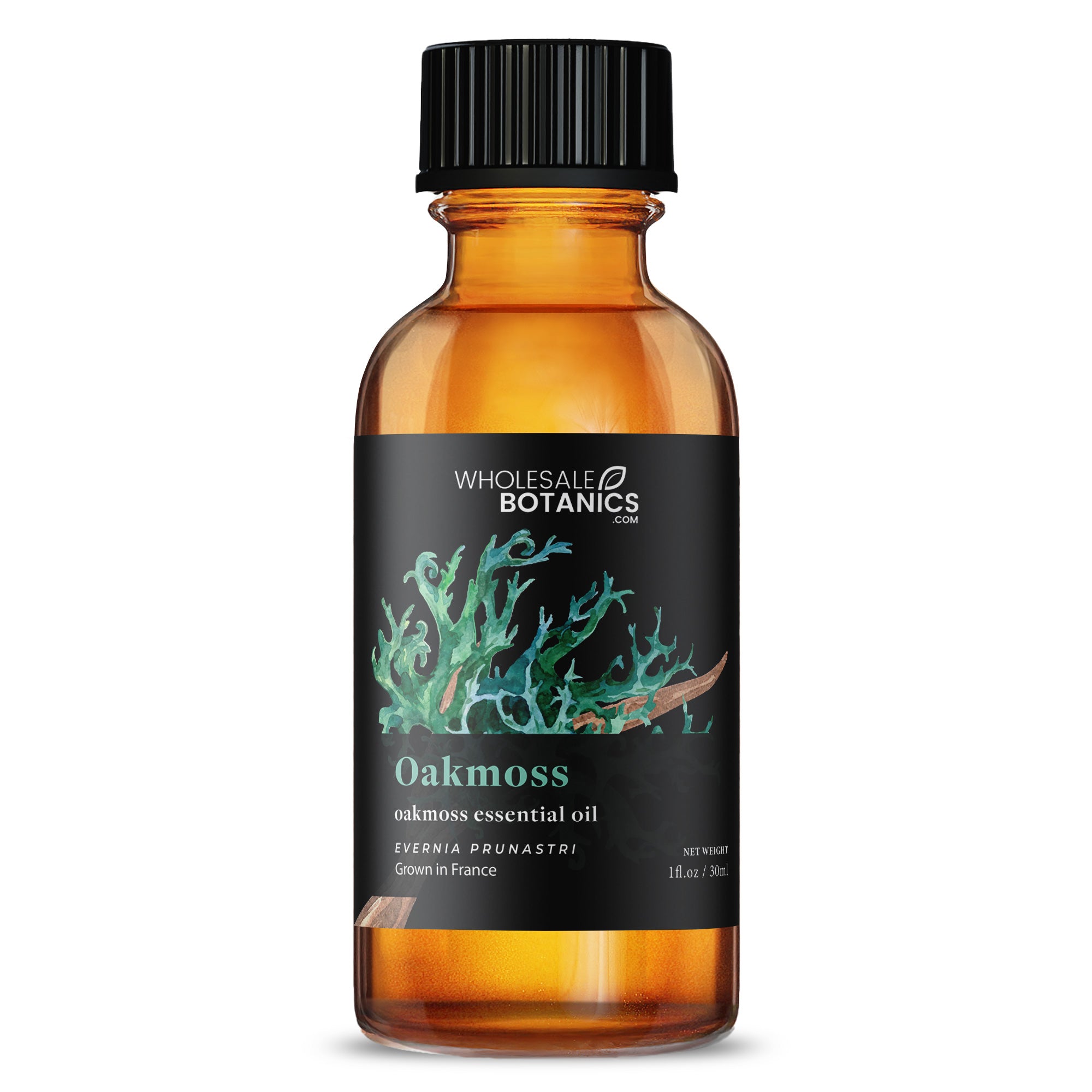 Oakmoss Essential Oil