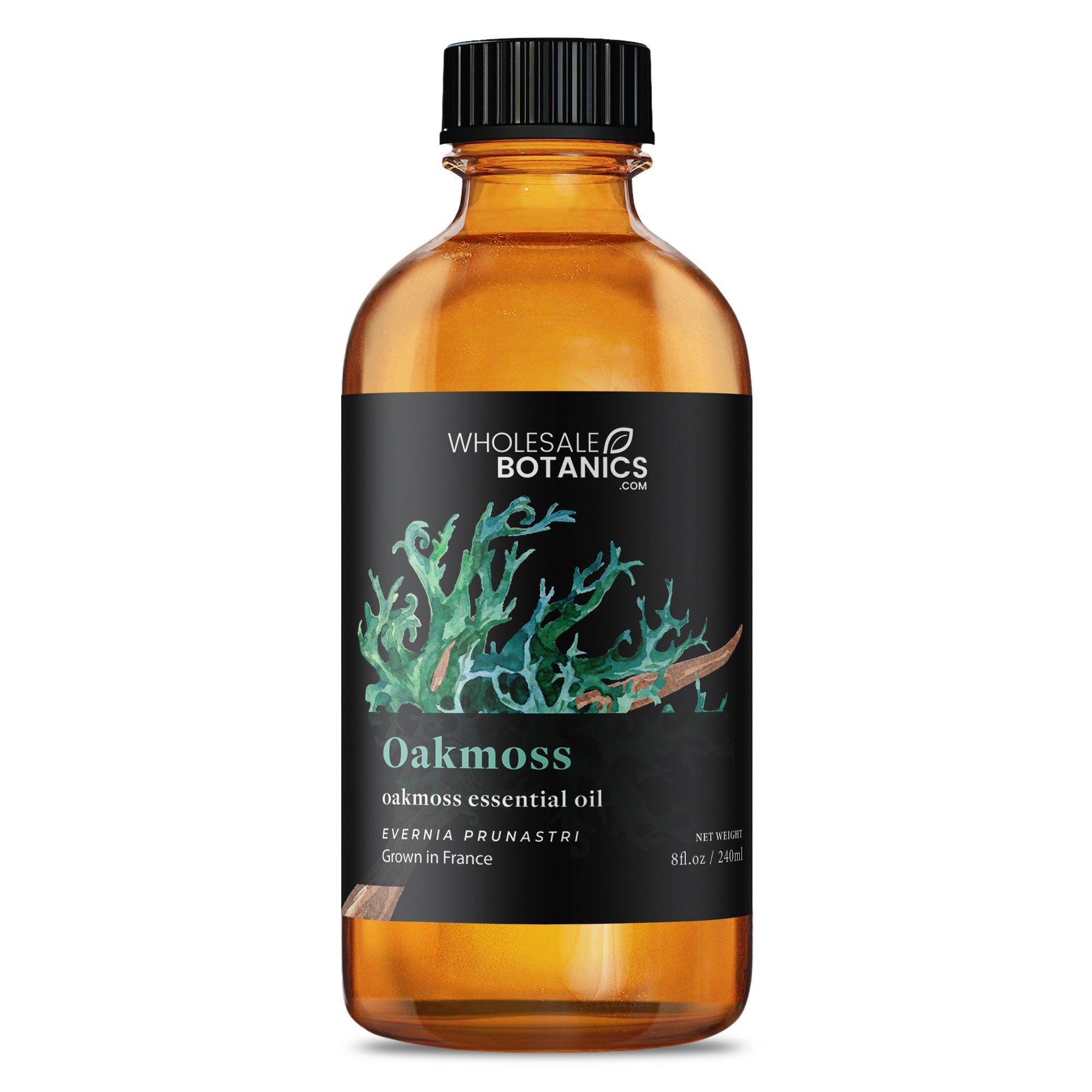 Oakmoss Essential Oil