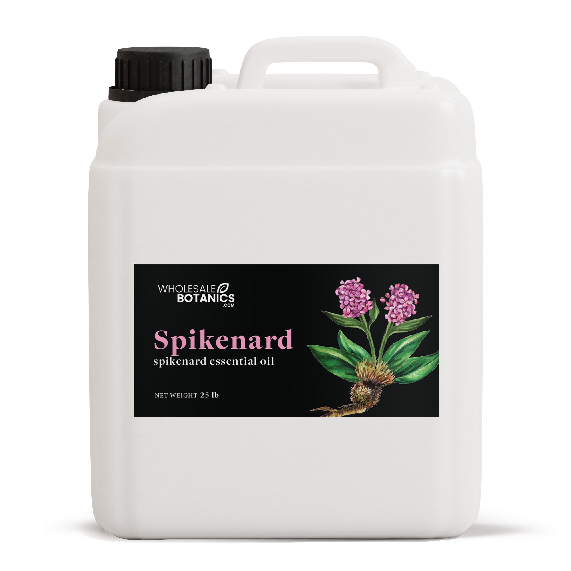Spikenard Essential Oil - Botanical
