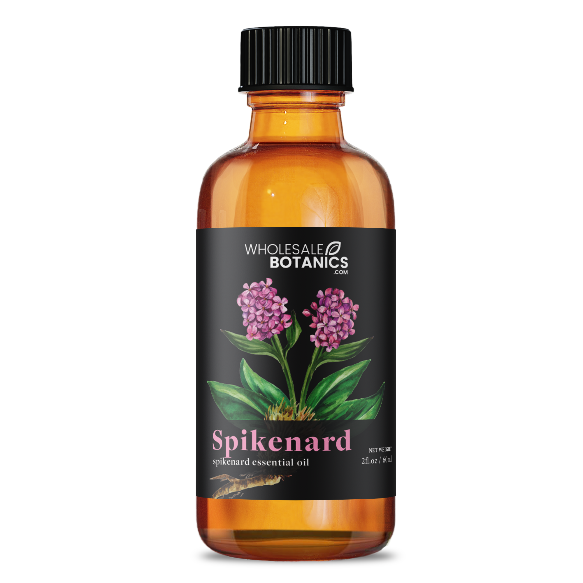 Spikenard Essential Oil - Botanical