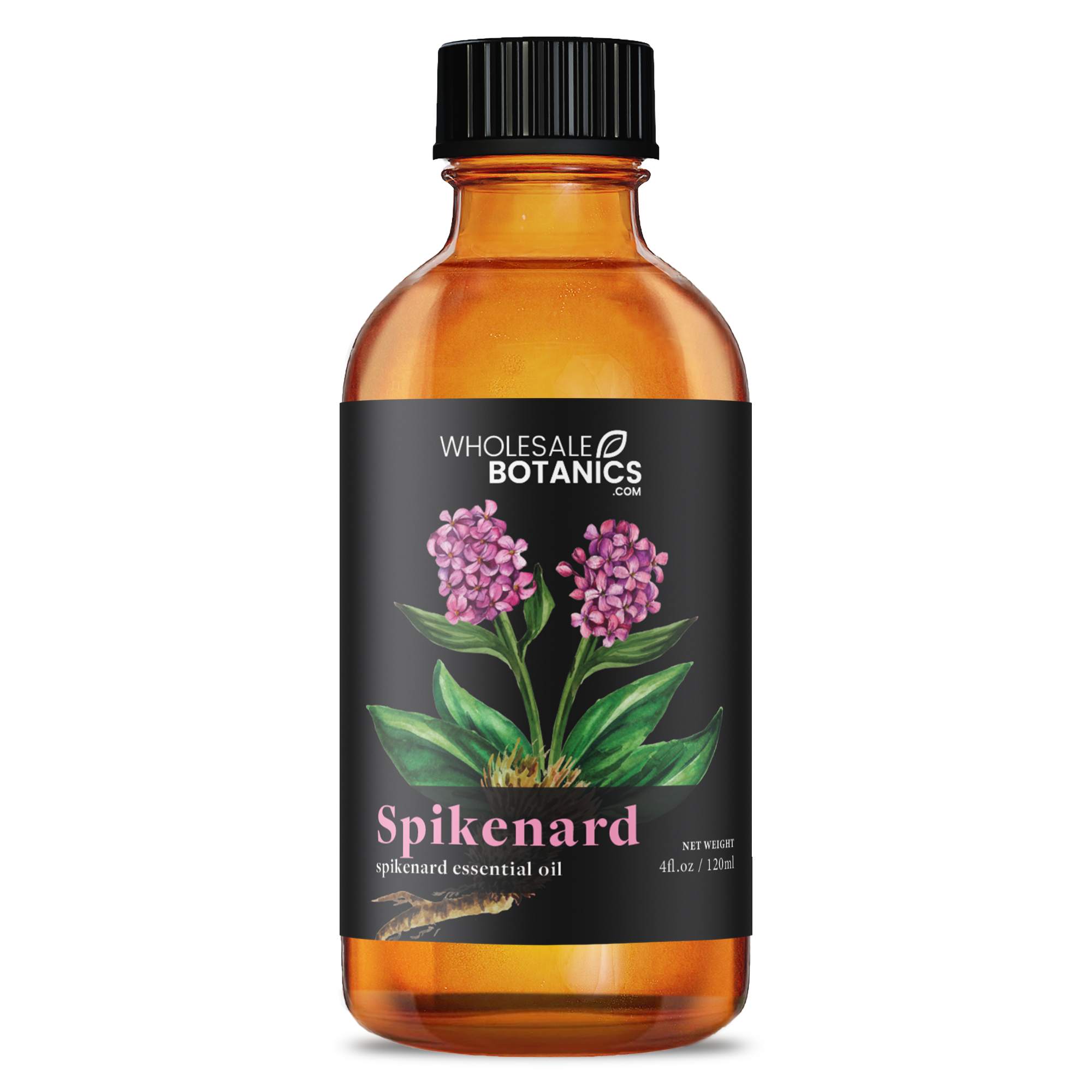 Spikenard Essential Oil - Botanical
