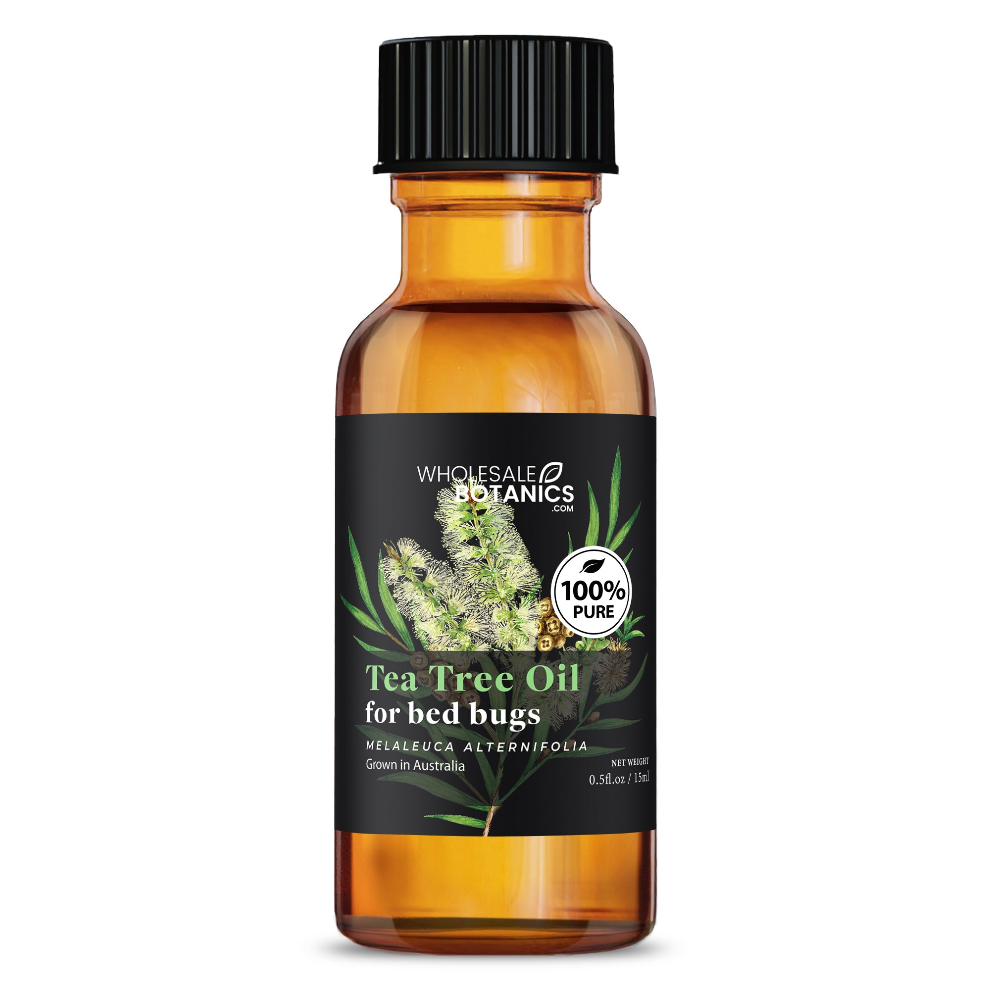 Tea Tree Oil for Bed Bugs