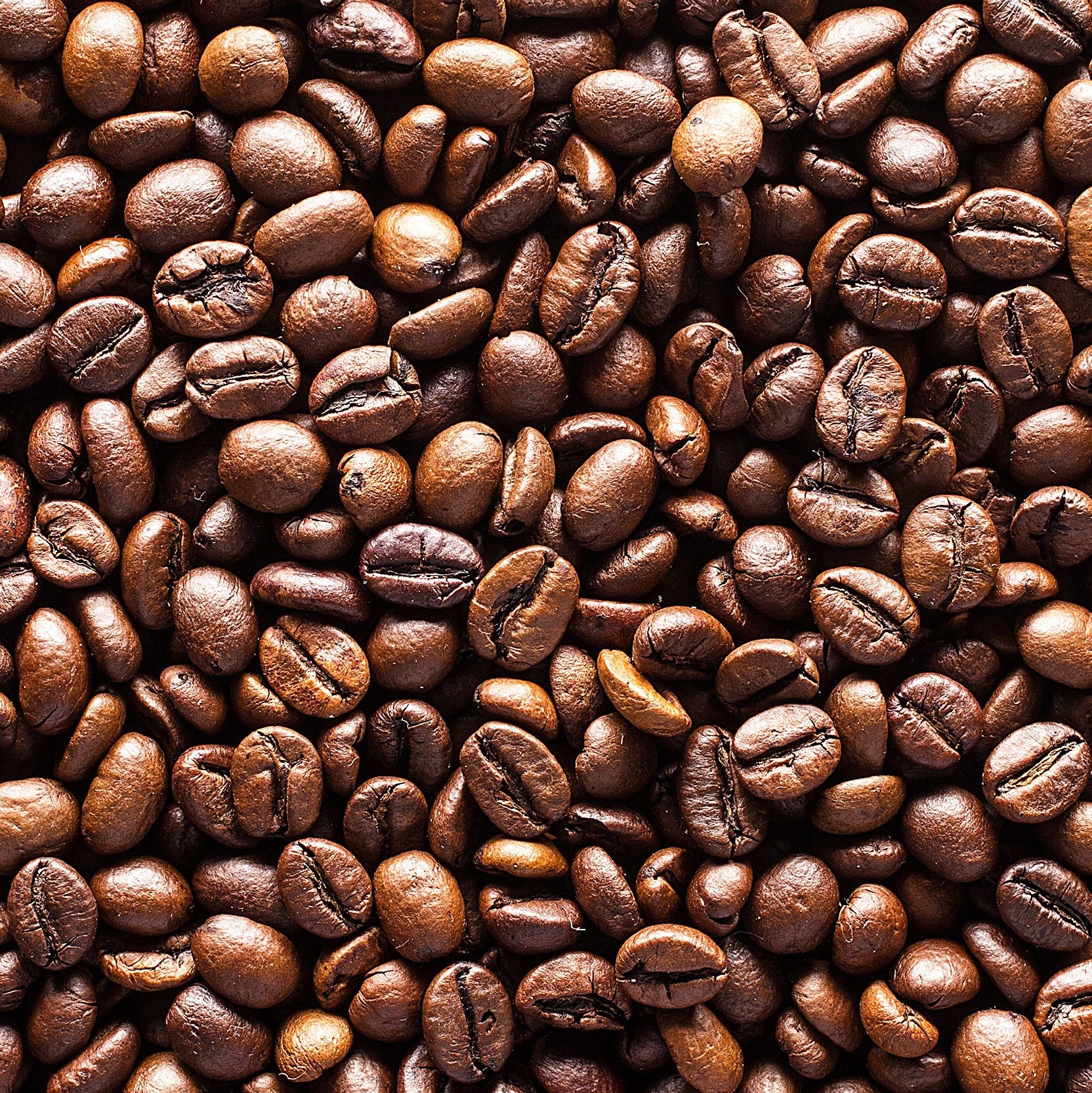 Coffee Essential Oil - Botanical, Purity