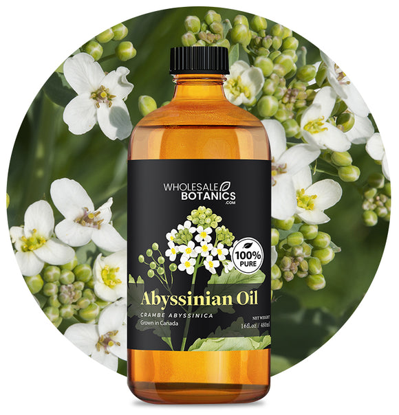 Abyssinian Oil