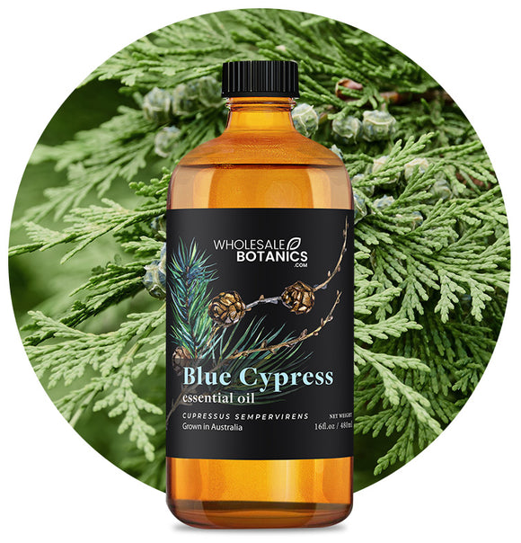 Blue Cypress Essential Oil
