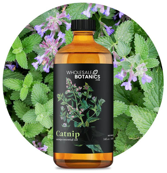 Catnip Oil