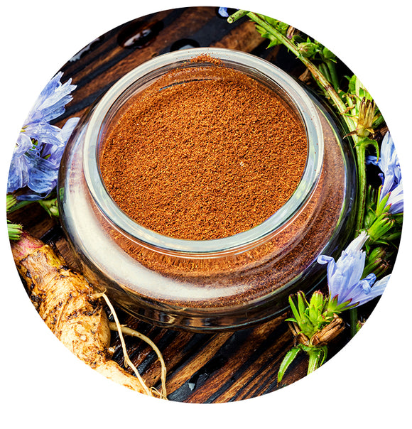 Chicory Root Powder