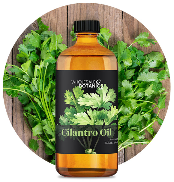 Cilantro oil