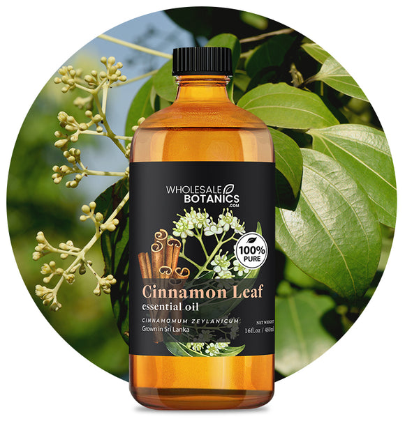 Cinnamon Leaf Oil