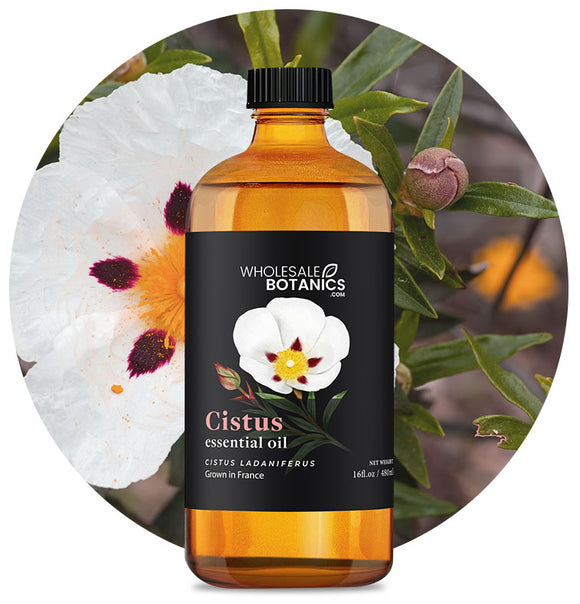 Cistus Oil