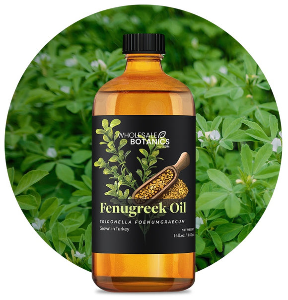 Fenugreek Oil