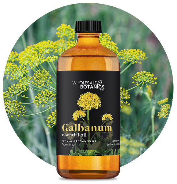Galbanum Essential Oil