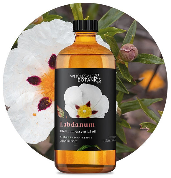 Labdanum Oil