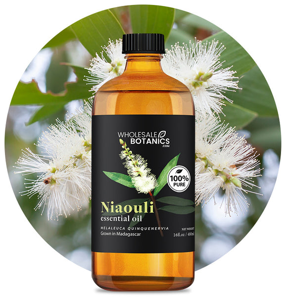 Niaouli Essential Oil